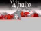 שפּיל Whaito אָנליין
