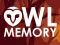שפּיל Owl Memory אָנליין