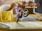 שפּיל Bike Mania 4 Micro Office אָנליין