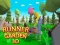 שפּיל Runner Garden 3d אָנליין