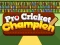 שפּיל Pro Cricket Champion אָנליין