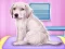 שפּיל Labrador at the doctor salon אָנליין