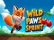 שפּיל Wild Paws Sprint אָנליין