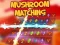 שפּיל Mushroom matching אָנליין