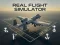 שפּיל Real Flight Simulator אָנליין