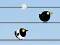 שפּיל Gone with the Birds אָנליין