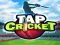 שפּיל Tap Cricket אָנליין