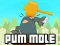 שפּיל Pum-Mole אָנליין