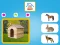 שפּיל Who Lives Here אָנליין