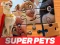 שפּיל DC League of Super Pets Jigsaw Puzzle אָנליין