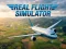 שפּיל Real Flight Simulator אָנליין