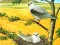 שפּיל Birds Of Prey Puzzle אָנליין