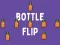שפּיל Bottle Flip אָנליין
