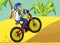 שפּיל BMX Boy Online אָנליין
