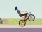 שפּיל Wheelie Biker אָנליין