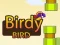 שפּיל Birdy Bird אָנליין