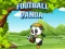 שפּיל Football Panda אָנליין
