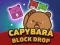 שפּיל Capybara Block Drop אָנליין