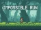 שפּיל Impossible Run אָנליין