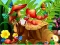 שפּיל Hidden Objects Insects אָנליין