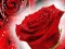 שפּיל Red Roses אָנליין