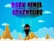 שפּיל Dark Ninja Adventure אָנליין
