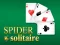 שפּיל Spider Solitaire אָנליין