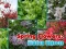 שפּיל Spring Flowers: Hidden Objects אָנליין