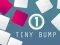 שפּיל Tiny Bump אָנליין
