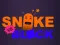 שפּיל Snake vs Blocks אָנליין