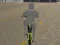 שפּיל Bicycle Simulator אָנליין