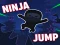 שפּיל Ninja jump אָנליין