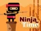 שפּיל Ninja Time אָנליין