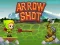 שפּיל Arrow Shoot אָנליין