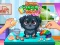 שפּיל Funny Puppy Care אָנליין