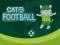 שפּיל Cat Football אָנליין