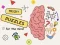 שפּיל Brain Puzzles Quests אָנליין