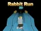 שפּיל Rabbit Run 3D אָנליין