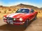 שפּיל Sung Race אָנליין