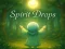 שפּיל Spirit Drops אָנליין