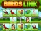 שפּיל Birds Link אָנליין
