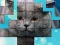 שפּיל PicPu Cat אָנליין