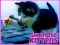 שפּיל Six Little Kittens אָנליין