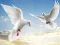 שפּיל Flying Birds אָנליין