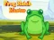 שפּיל Frog Match Master אָנליין