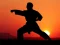 שפּיל Karate Sunset Warriors אָנליין