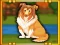 שפּיל Bernese Mountain Dog Escape אָנליין
