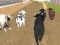 שפּיל Angry Bull Racing אָנליין