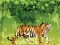 שפּיל Angry Tiger Coloring אָנליין