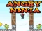 שפּיל Angry Ninja אָנליין